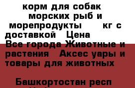  Holistic Blend корм для собак 5 морских рыб и морепродукты 11,3 кг с доставкой › Цена ­ 5 157 - Все города Животные и растения » Аксесcуары и товары для животных   . Башкортостан респ.,Нефтекамск г.